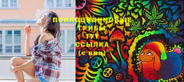 винт Алексеевка