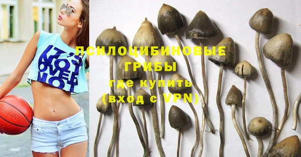 герыч Алексин
