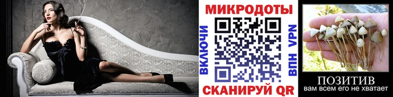 Псилоцибиновые грибы мухоморы  Нюрба 